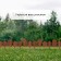 Decorative fence, 25 × 170 cm, 5 sections, plastic, terracotta, "wonderful garden"