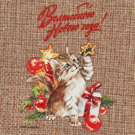 A bag of thermonacle "Magic Minutes", 10 x 14 cm +/- 1.5 cm, New Year-3