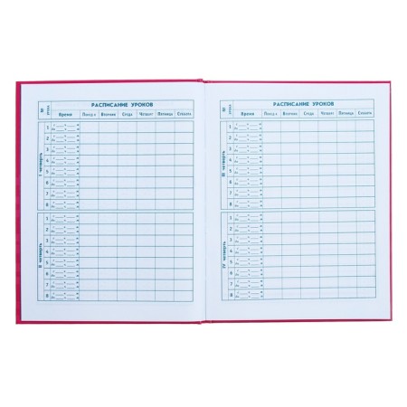 Diary for grades 1-4, 48 sheets "cat", hard cover, glossy lamination, foil embossing-7