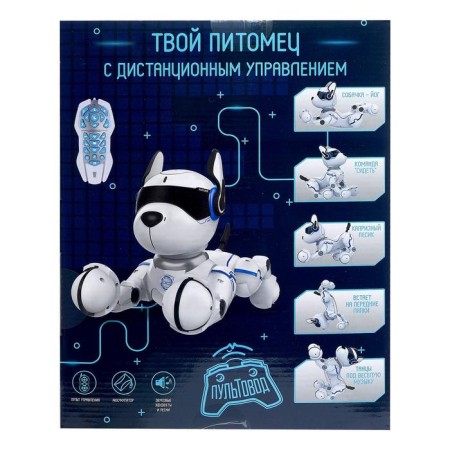 Robot dog "Futcher" Zhorya, on the control panel, interactive: sound, light, dancing, musical, on the battery-7