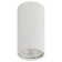Lamp OL31 WH MR16 1x12W GU10 IP20 white 5.5x5x5x10