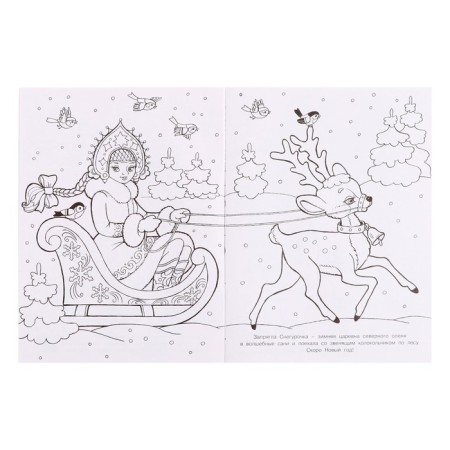 New Year. Coloring "Winter Princess", 16 p.-3