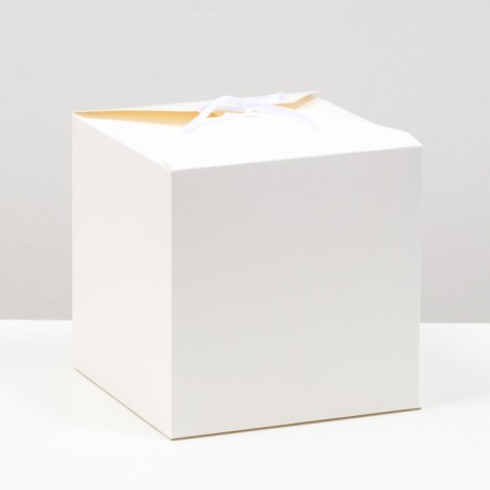 White folding box, 21 x 21 x 21 cm