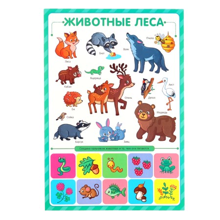 Training posters. Knowledge for preschoolers-6