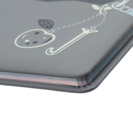Universal Grade 1-11 Diary, 48 JIUCY sheets, firm artificial leather cover, foil embossing, pancake embossing, rhinestones, liesse-4