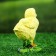 Garden figure "Chickens" 15cm, a set of 4 pcs