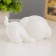 Nightlight "Cool dog" LED from batteries white 11.4x6.9 cm Risalux