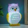 Nightnick "Eagle owl" Led RGB from 3xlr44 mix 6x7x10cm Risalux