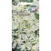 Flower seeds "Mountain Snow" 0.2 g