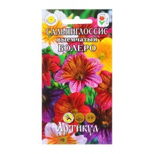 Flower seeds Salpiglossis 
