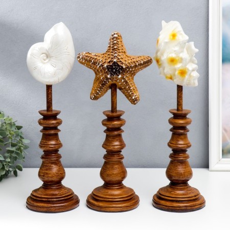 Souvenir interior polystone "shell" set 3 pcs 41x12x17 cm