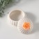 Coramics Coramics "Rose Flower" Persian pearl 7.5x7.5x6.5 cm