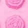 Baking shape of the share "Flowers. Rose ”, silicone, 29.5 × 17.5 cm, 15 cells (D = 4.2 cm), color mix