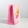 Package Gift Laminated Vertical, packaging, “Happy Birthday!”, Ml 23 x 27 x 11.5 cm