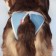 Panties for dogs reusable OSSO Absorb, size XL