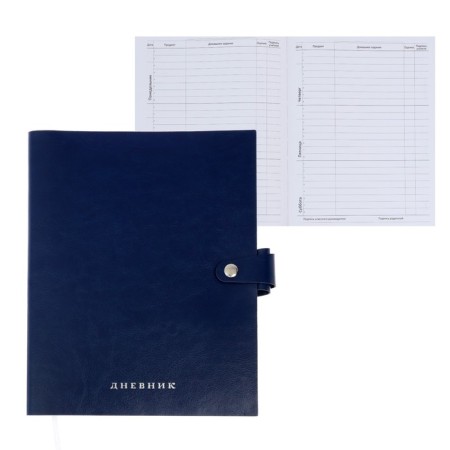 Universal diary for grade 1-11 Favorite, soft cover, button, artificial leather, foil embossing, refrain, lies, 48 ​​sheets