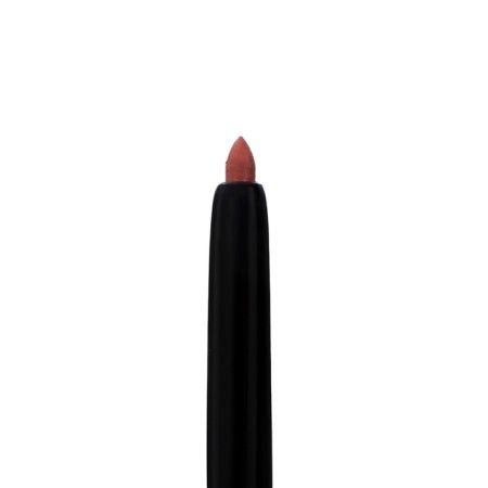 Parisa lip pencil, mechanical, Alp-203 light brown-1