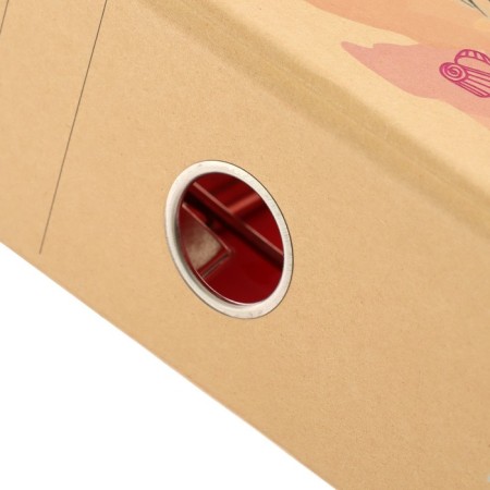A4 75 mm registrar, Devente Emily in Paris, collapsible, metal edging-3