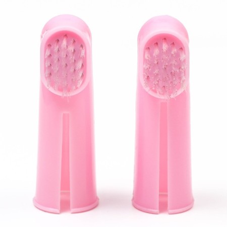 A set of 2 denture brushes-1