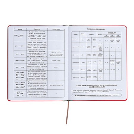 Universal diary for grades 1-11 Excellence, solid cover of artificial leather, silkography, lies, 48 ​​sheets, pink-10