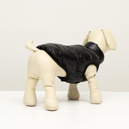 Dog jacket two -sided with print, size 8 (ds 23 cm, og 30, ok 22 cm), black-2
