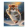 Notebook of 48 sheets in the cage "Winter cats", covered cardboard, matte lamination, selective UV-lame, block 60g/m2, mix