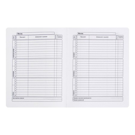 Universal diary for grades 1-11 leather camouflage, solid cover, artificial leather, application, liesse, 48 sheets-4