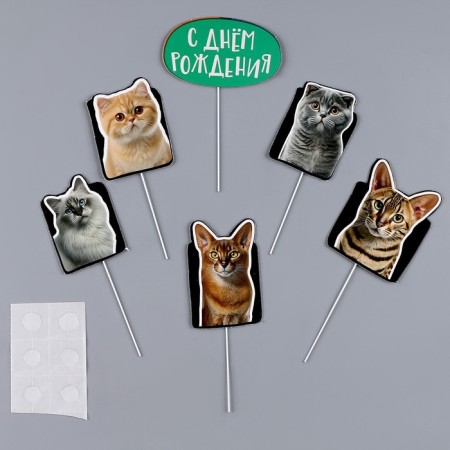 Topper cardboard on a substrate with a wire "cats"-1