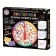 Board game "Quiz. Ancient world history"