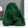 Fasting wool 100% half -toned wool 50 g (110, green)