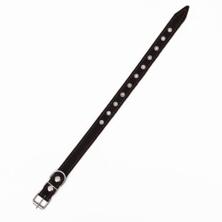 Collar leather single-layer, dimensionless, 56 x 2.5 cm, Osh 17-44 cm, black-2