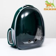 Backpack for carrying animals, transparent, 31 x 28 x 42 cm, green