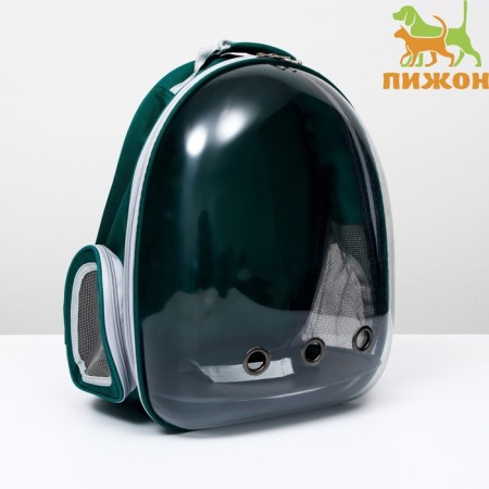 Backpack for carrying animals, transparent, 31 x 28 x 42 cm, green