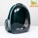 Backpack for carrying animals, transparent, 31 x 28 x 42 cm, green