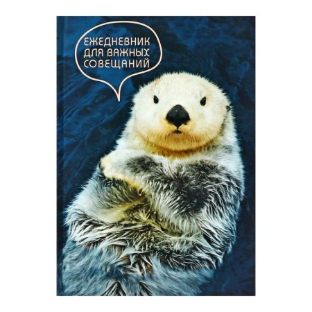 Diary of a low-up A5, 128 sheets, "Serious Diary", Cardboard 7BC cover, Soft-Touch lamination, Block 70 g/m2