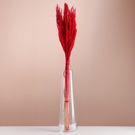 Set of dried flowers "Weinik", banch length 65 (+/- 6 cm), red