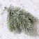 Decor "Victor ate with snow", set of 2 pcs., Size 1 pc. - 12 cm