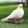 Garden figure "pigeon" 19x10x14cm