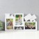 Multipher in 3 photos, 10x15 cm, plastic, col. white