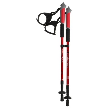 Sticks for Scandinavian walking online, telescopic, 3 sections, up to 135 cm, 2 pcs., Mix color-15