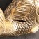 Piggy bank "Fish" Golden, 20x12x15cm
