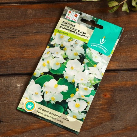 Set of indoor flowers "Hit Sales"-5
