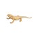 Set of figures "World of Wild Animals", 6 figures