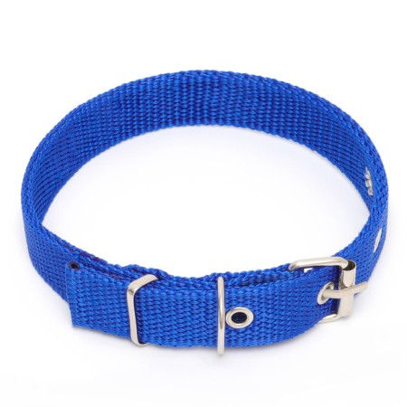 Klopany collar, 40.5 x 2 cm, Osh 26-34 cm, polyester, blue-1