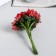 Decor for creativity "Apple" mix 11 cm (1 set = 1 bouquet) in a bouquet of 12 colors
