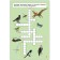 Dinosaurs. Read, answer, perform