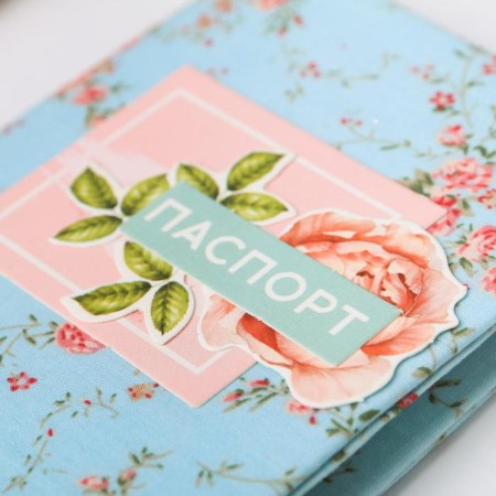 Set for creativity. Amazing Life passport cover-2