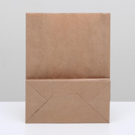Craft package Pack Pack, rectangular bottom 22 x 12 x 29 cm 70 g/m2, set 50 pcs-1