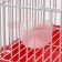 Rodent cell equipped RT-2T, 22 x 16 x 20 cm, red