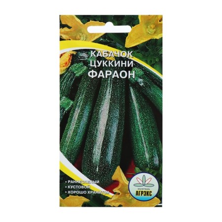 Semen zucchini "Pharaoh", 10 pcs.